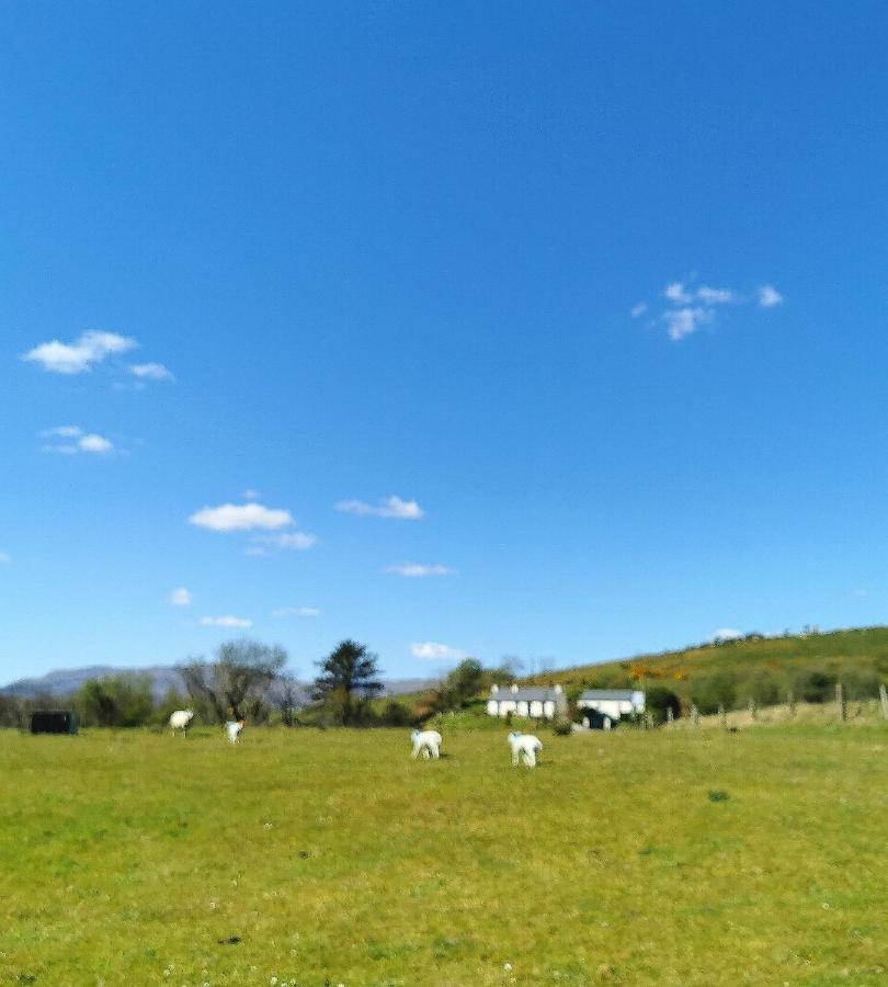New Listing - Ladybird Cottage - Donegal - Wild Atlantic Way 多尼戈尔 外观 照片